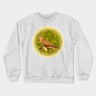 Kestrel Crewneck Sweatshirt